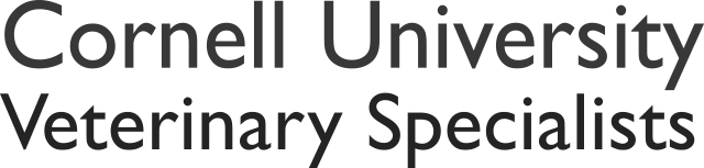 Logo-Cornell_Grayscale-1