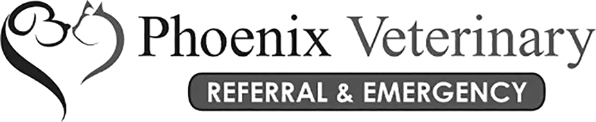 Logo-Phoenix_Grayscale-1