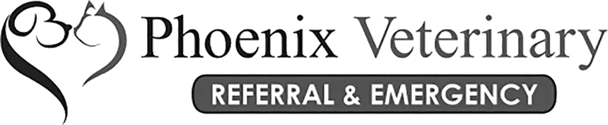 Logo-Phoenix_Grayscale-1
